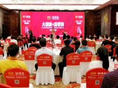 【大健康项目案例】王老吉好吉色